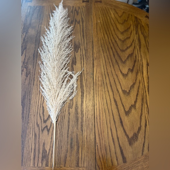Natural Pampas Grass- 3 Stems - Picture 6 of 13